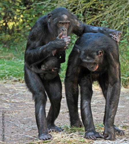 mother and baby