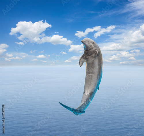 single jumping smiling dolphin  beautiful seascape with deep ocean waters and cloudscape
