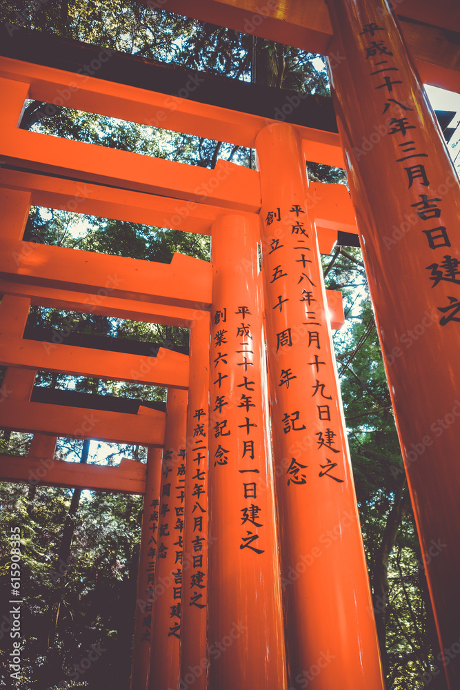 Fushimi Inari Taisha torii shrine, Kyoto, Japan Fushimi Inari Taisha torii shrine, Kyoto, Japan
