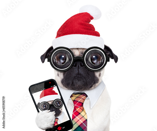 dumb crazy pug dog with nerd glasses as an office business worker, isolated on white background, on christmas holidays vacation with santa claus hat, taking a selfie © Designpics