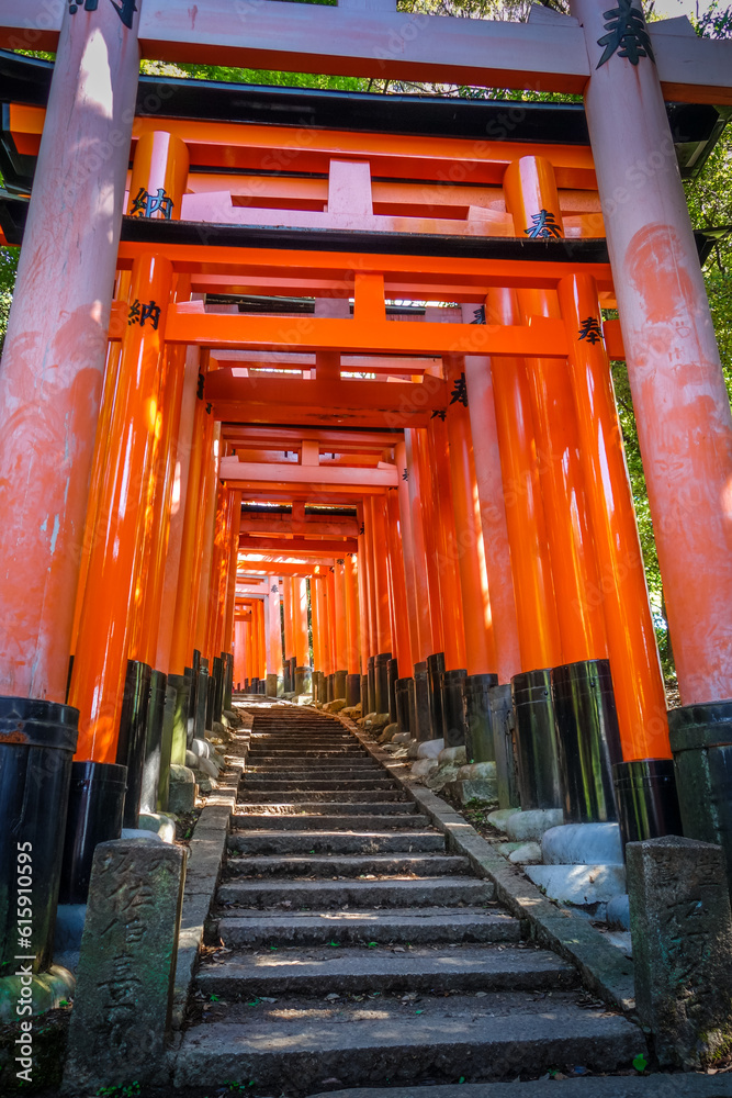 Fushimi Inari Taisha torii shrine, Kyoto, Japan Fushimi Inari Taisha torii shrine, Kyoto, Japan