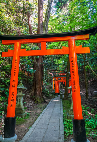 Fushimi Inari Taisha torii shrine  Kyoto  Japan