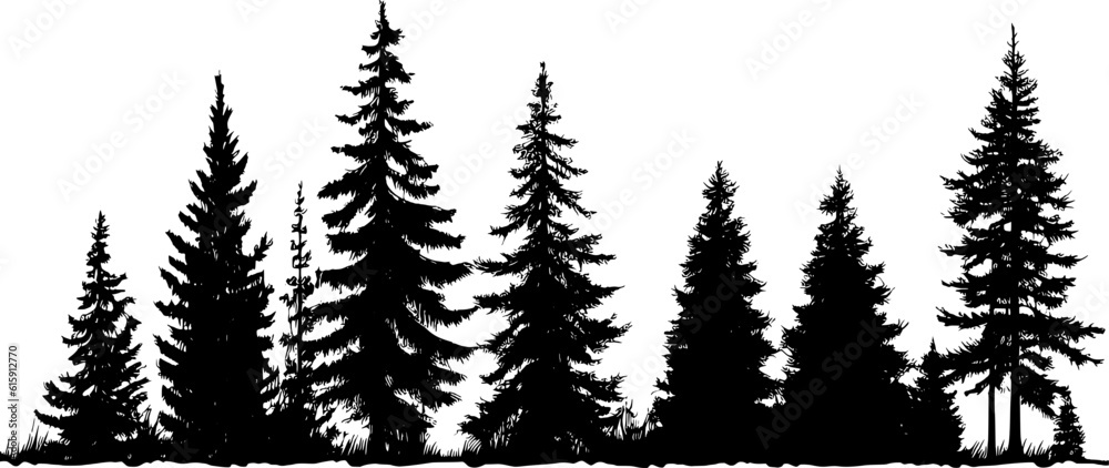 Forest Tree Vector