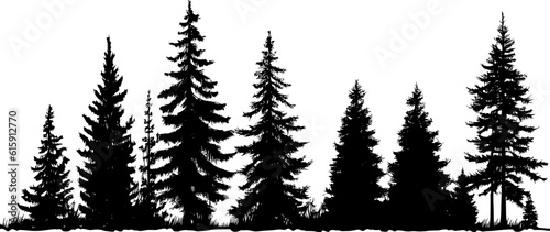 Forest Tree Vector