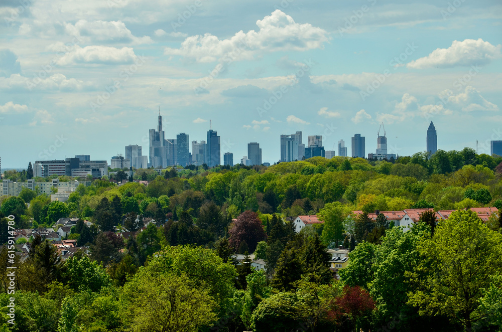 Fototapeta premium Frankfurt skyline behind some houses and green trees under cloudy summer sky