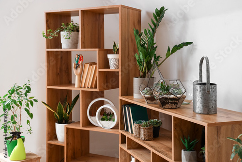 Bookcase with florariums and houseplants in light room