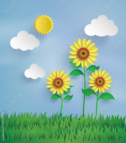 Sunflower field with blue sky.