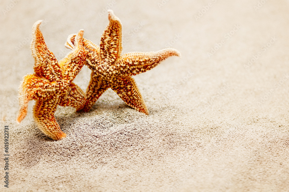 Meeting two starfish. The concept of a triotic trip for two or meeting two old friends. Photo on the background of sand Meeting two starfish. The concept of a triotic trip for two or meeting two old friends. Photo on the background of sand