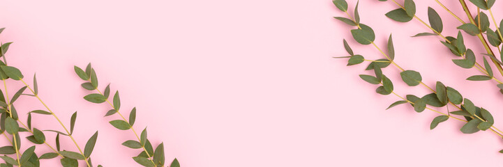 Banner with eucalyptus branches on a pink pastel background. Place for text.
