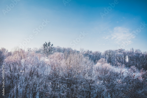Frosty winter landscape in snowy forest. Sunny summits of the trees in a snow covered forest and blue clear sky. Winter landscape. Nature background