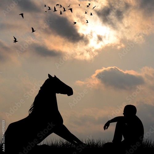 Silhouette of horse and man sitting on grass outdoor