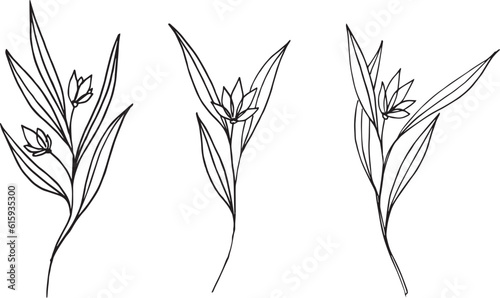 Set of botanical vector illustrations. Twigs with flowers isolated without background. minimalistic ink illustration for cards  tattoos  logos  packaging  wedding decor.