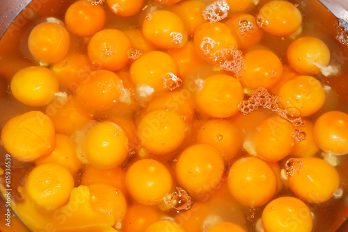 egg yolk and white, rich source of vitamin, mineral and protein