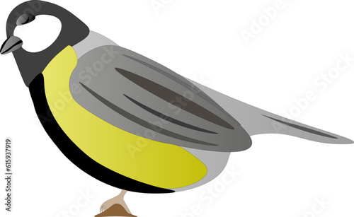Titmouse on a white background, children's drawing.