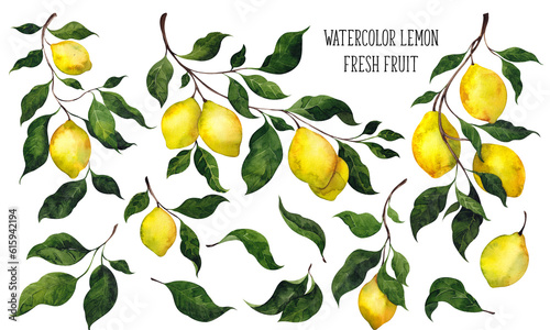 Watercolor clipart. Fresh lemon illustration with fruits and green leaf, isolated on white background