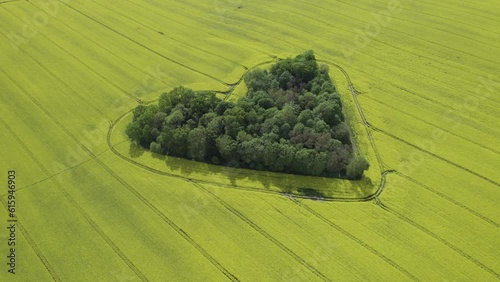 aerial view of a green heart-shaped grove in the middle of a rape field