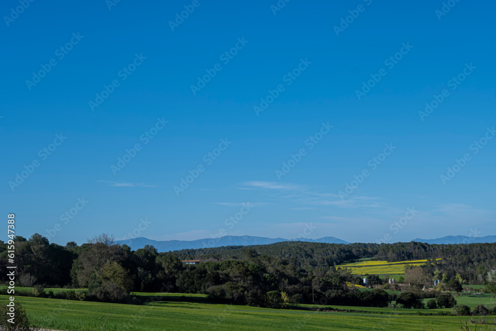 Blue sunny sky on a green meadow field beautiful landscape