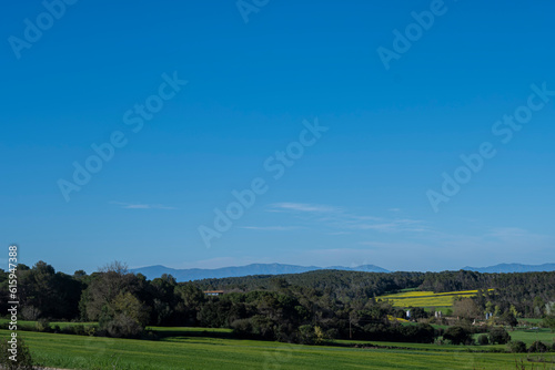 Blue sunny sky on a green meadow field beautiful landscape