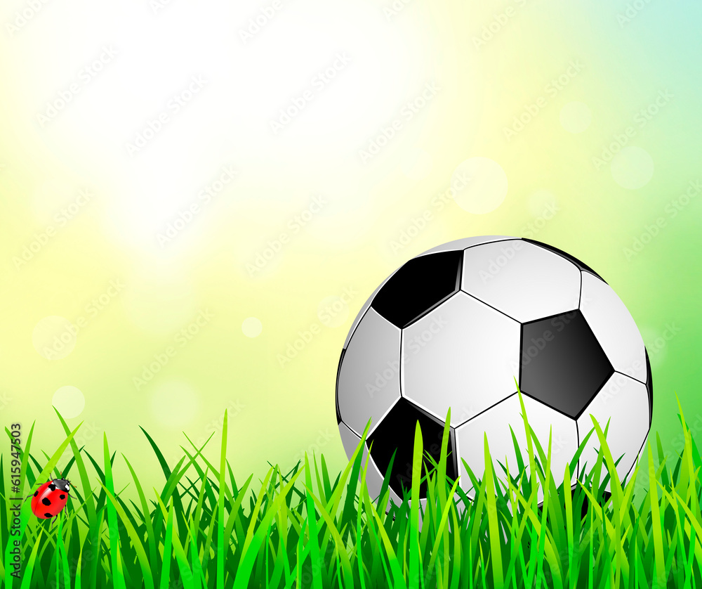 Fototapeta premium Soccer ball on an abstract background.