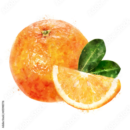 Orange  isolated hand-painted illustration on a white background