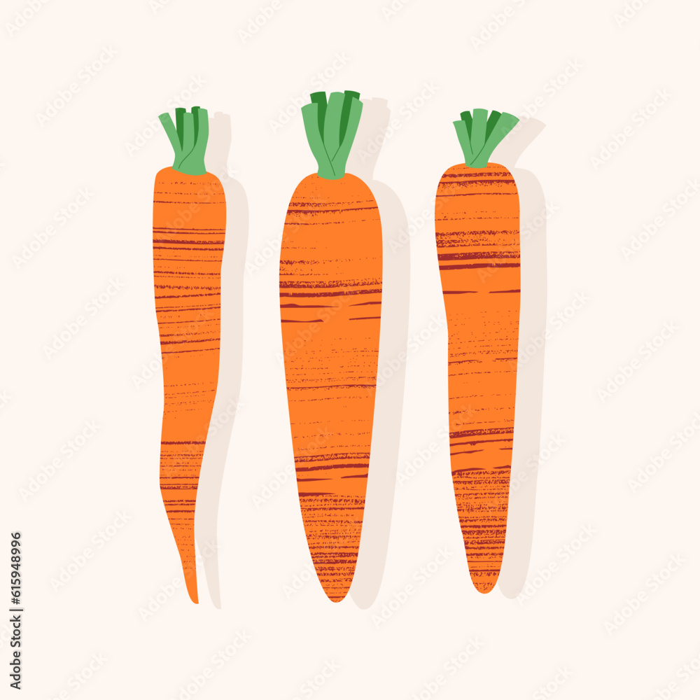 Bunch of carrots of different sizes and shapes with green stems in flat style. Stylish vector illustration with texture on light background. Concept of ecological cultivation of vegetables on farm. Bunch of carrots of different sizes and shapes with green stems in flat style. Stylish vector illustration with texture on light background. Concept of ecological cultivation of vegetables on farm.