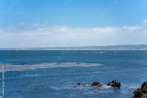 View from the coastline of the Lovers Point State Marine Reserve © Frank