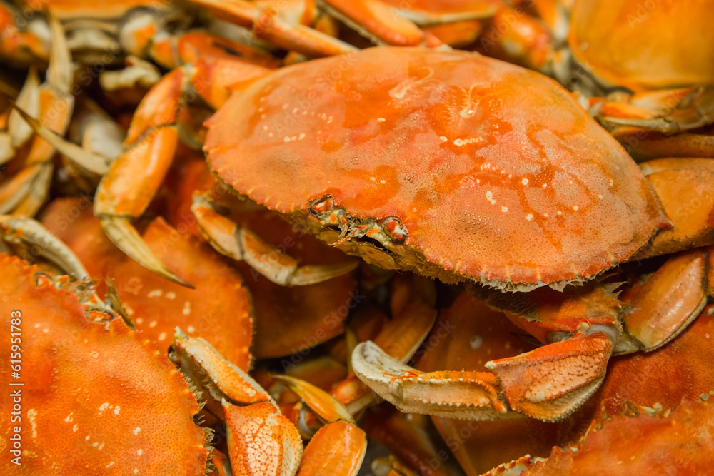 Closeup of a tray with just cooked crabs. Closeup of a tray with just cooked crabs.