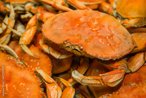 Closeup of a tray with just cooked crabs.