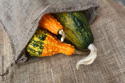 Three green and orange warty ornamental gourds in hessian sack on jute fabric