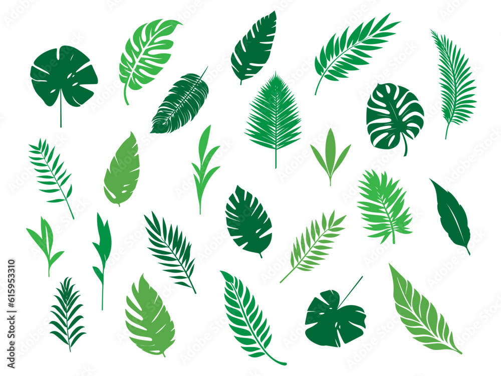 Set of tropical leaves.Collection of exotic palm leaves.Monstera leaf and banana leaves.Botanical plant collection.Leaf icon set.Jungle plant. Set of tropical leaves.Collection of exotic palm leaves.Monstera leaf and banana leaves.Botanical plant collection.Leaf icon set.Jungle plant.