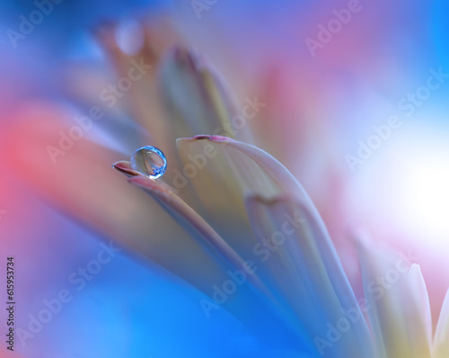 Abstract macro photo with water drops.Artistic Background for desktop. Flowers made with pastel tones.Tranquil abstract closeup art photography.Print for Wallpaper...Floral fantasy design. © Designpics