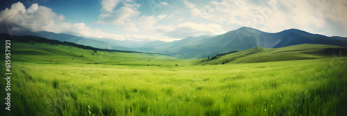 Panoramic natural landscape with green grass field  blue sky and mountains in background. Shallow depth of field