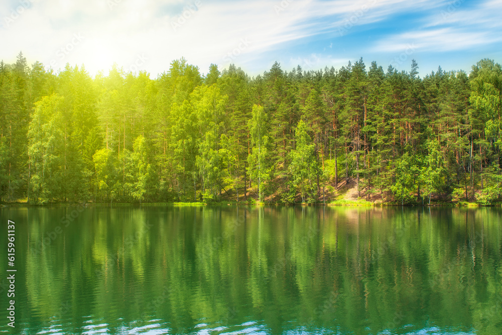 Obraz premium Forest lake with reflections of green trees