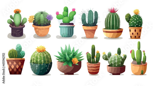 Set of different of colorful cactus in flower pots