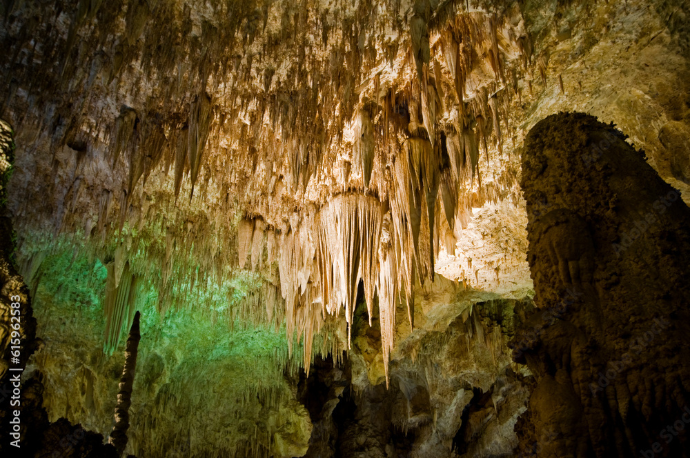 The Big Room in Carlsbad Caverns National Park, New Mexico The Big Room in Carlsbad Caverns National Park, New Mexico