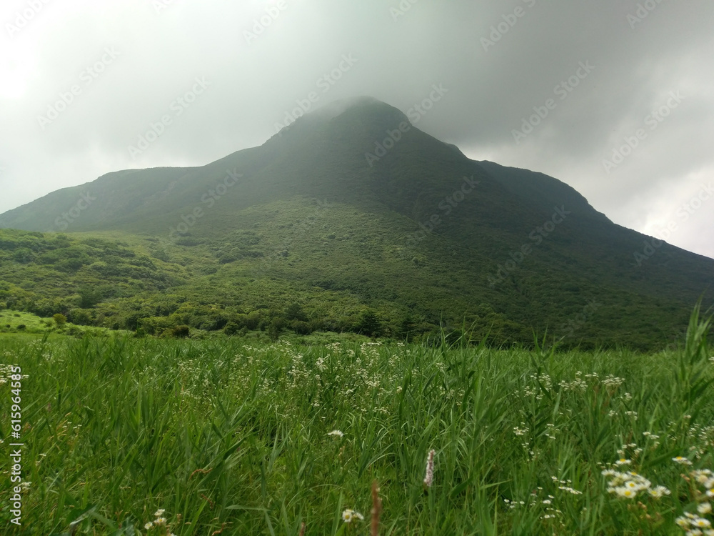 Fototapeta premium 九重連山の風景