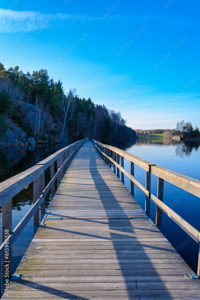 Fototapeta premium Foot bridge across a lake in Gothenburg,Sweden during spring of 2018 April