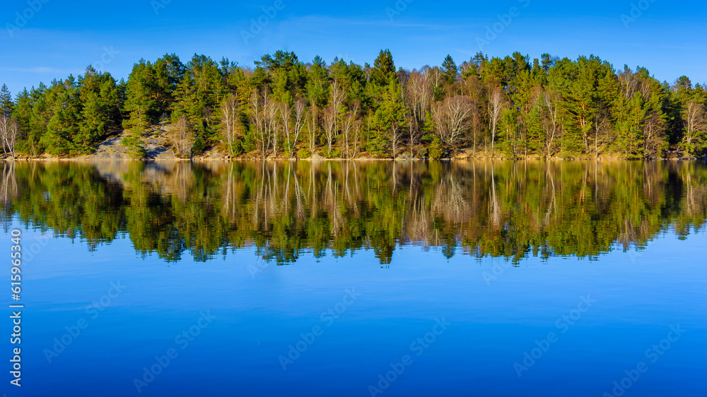 Forest reflection as seen in lake in Gothenburg Sweden during spring 2018 April Forest reflection as seen in lake in Gothenburg Sweden during spring 2018 April