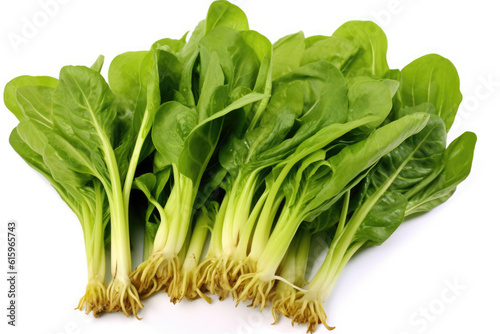 green swiss chard isolated created with Generative AI technology