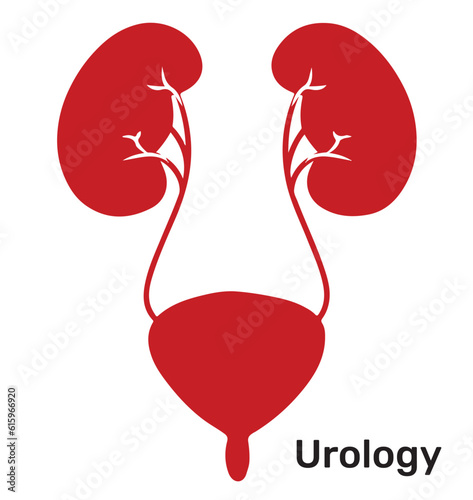 Urología, Urology