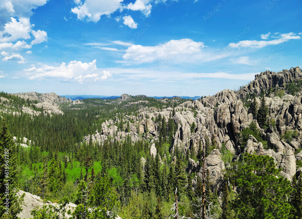 Fototapeta premium Custer