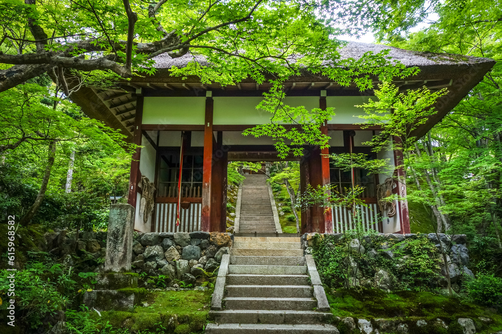 Jojakko-ji Shrine temple in Arashiyama bamboo forest, Kyoto, Japan Jojakko-ji Shrine temple in Arashiyama bamboo forest, Kyoto, Japan