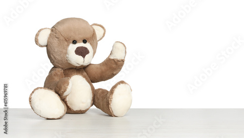 Cute teddy bear isolated on white. Child`s toy