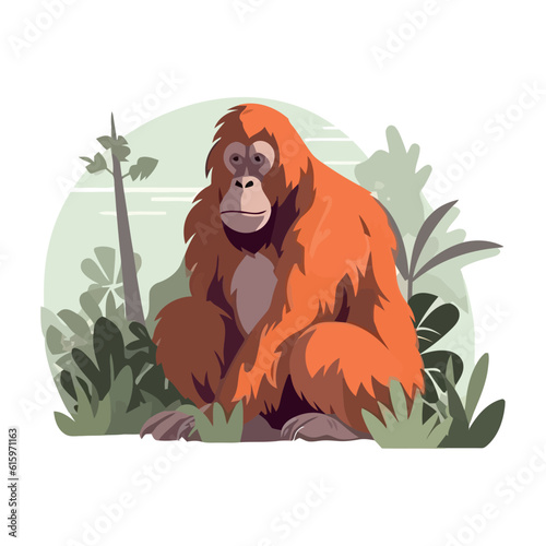 young orangutan eating