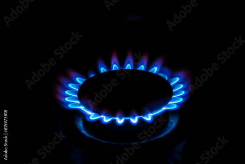 A gas burner with blue burning gas looks like flower