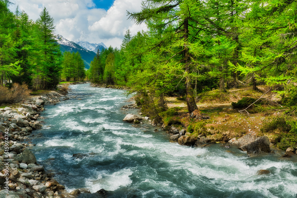 river among the trees in the mountains of the Valle d'Aosta during the melting snow in spring, Italy river among the trees in the mountains of the Valle d'Aosta during the melting snow in spring, Italy