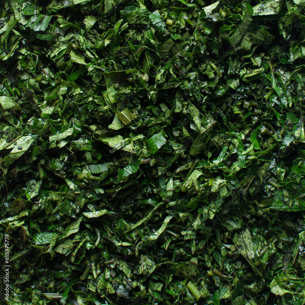 Top view of sliced pumpkin leaves, nigerian ugw leaves sliced for cooking, sliced fluted pumpkin leaves Top view of sliced pumpkin leaves, nigerian ugw leaves sliced for cooking, sliced fluted pumpkin leaves