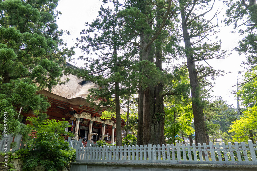 出羽三山神社(羽黒山)「三神合祭殿」 in 山形県鶴岡市 出羽三山神社(羽黒山)「三神合祭殿」 in 山形県鶴岡市