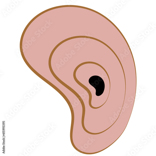 An illustration of an ear
