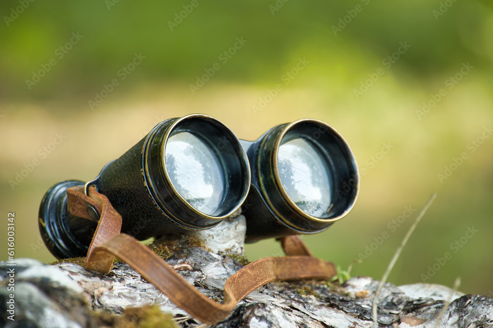 Black binoculars resting on top of tree stump Black binoculars resting on top of tree stump
